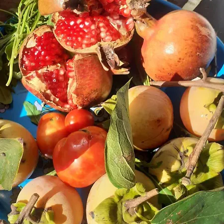 Zagara Blu Apartment *