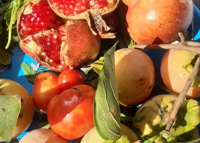 Zagara Blu Apartman *